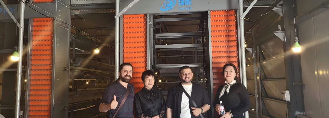 Buy commercial broiler cage equipment