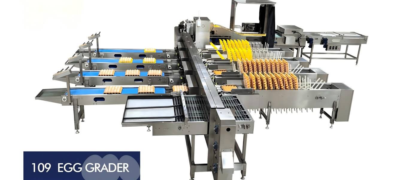 Egg Grading & Sorting Machines