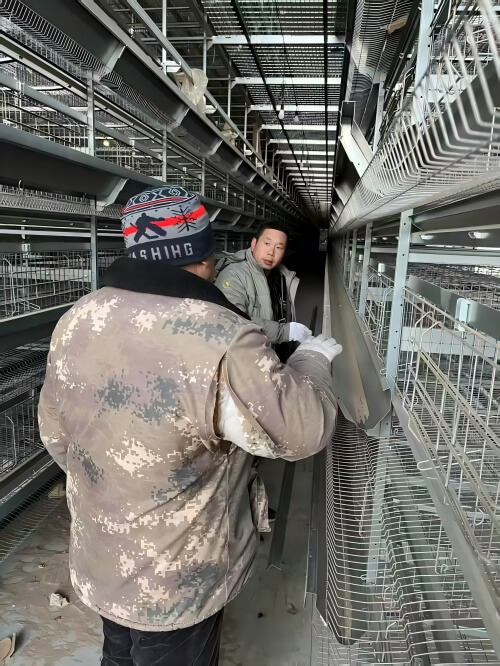 Best industrial broiler feeder