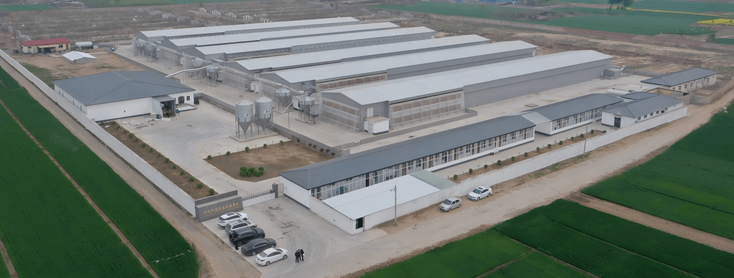 Broiler cage system spare parts near me