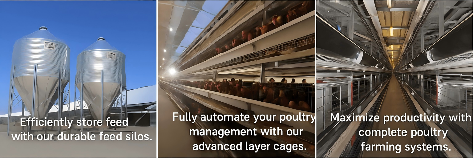 Buy precision layer cage equipment online