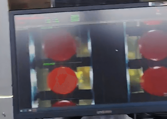 Upgrade Operasi Peternakan Anda dengan Mesin Grading & Sortir Telur Otomatis Canggih